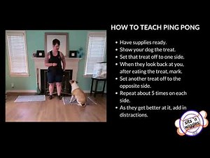 Ping Pong Pattern Game