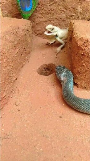 unique snake trap village hpme underground hole technology. #snake #shorts