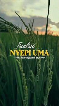 Tradisi "NYEPI UMA" Desa Bungkulan #nyepiuma #tradisidesabungkulan #tradisibali #bungkulan #bali