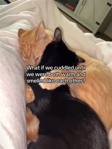 Cuddling to Feel Connected as a Couple