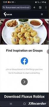 Guide to download fluxus executor!!