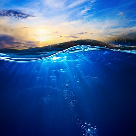 Google Street View Marks World Oceans Day - Bernews