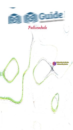 pulivendula _14.05_Km on Instagram: "📚 **Inter పూర్తయ్యాక Higher Studies కోసం మంచి Colleges లేదా Universities లో Join అవ్వాలనుకుంటున్నారా..?** అయితే 👉 **ఈ వీడియో మీకోసం** 🔔 end దాకా తప్పకుండా చూడండి 😊 📍 **మన పులివెందుల లో** Old Bus Stand దగ్గర ఉన్న **MedPlus పైన** 🏫 **Guide My Educational Services** ను సంప్రదించండి. 💰 **మీ Budget కి తగ్గట్టు** 🎓 మీకు నచ్చిన **Colleges / Universities లో** 👉 **తక్కువ ఖర్చుతో Admissions** చేయిస్తారు. ⭐ **6 Years Experience** ఉన్న 📖 **Education Industry Co