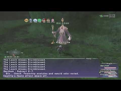 FFXI Assault Guide - Azure Ailments