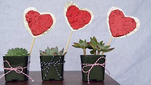 284 reactions · 281 shares | Grow your love with plantable paper hearts! | Sunset | Facebook