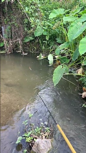 Village Countryside Fisherman Traditional Skills and River Life