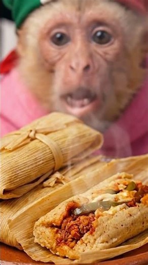 MONO comiendo TAMALES Mexicanos 🫔 ASMR Calientito (Momento Satisfactorio)