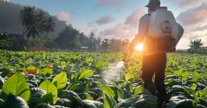 Consommation de pesticides dans le monde: où en sommes-nous ?