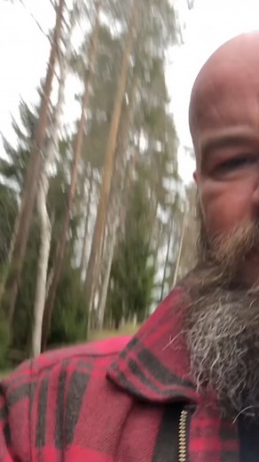 31K views · 850 reactions | meet my new friend #squirrel #nature #friendship #bestfriendsforever | Poke My Heart | Facebook