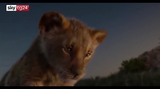 Il re leone, le canzoni della colonna sonora