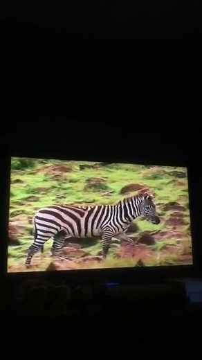 Tweenies Song Time 2 The Tweenies Enter The Jungle Part 1