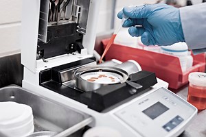 New Study Proves that Krill Oil is a Good Source of Choline