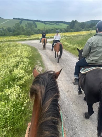 Randonnée à cheval?!? Mais oui!!! Au Domaine Fraser réserve ta randonnée équestre et viens t’amuser et apprendre de ces magnifiques bêtes 🐴 nos guides expérimentés comme Anna se feront un plaisir de vous familiariser avec ses majestueux animaux. Réserve dès maintenant www.domainefraser.org #domainefraser #quebec #ferme #refuge #animaux #équitation #chevaux #fondation | Domaine Fraser / Domaine des Animaux