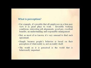 What is perception?