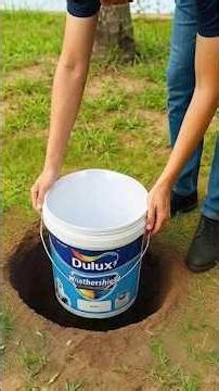 Millions Don’t Know This Secret! Drop an Old Paint Bucket into a Hole and Watch What Happens!