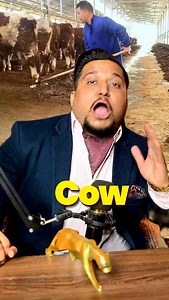 92K views · 4.3K reactions | 3 Business Ideas you can start with...