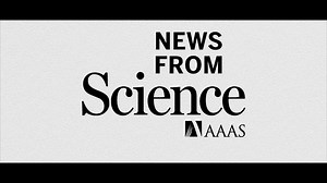 31K views · 17 reactions | Like your science with some visuals? You can check out the latest news stories that include a video here: https://www.sciencemag.org/tags/video (️ Credit: Chris Burns/Science) | News from Science | Facebook