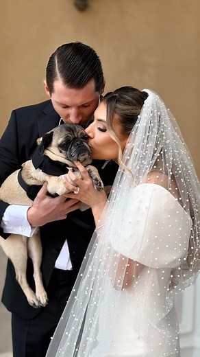 Introducing Bean Dean 🐾 Bride @taylormariewx Groom @wdean24 Best pup @thatpuglegendchubbs Content @mcmc_weddings Photo @cassandralynn_photo @vanessamarieweddings Video @carriedawayfilms Coordinator @marisacarcione | MCMC Weddings