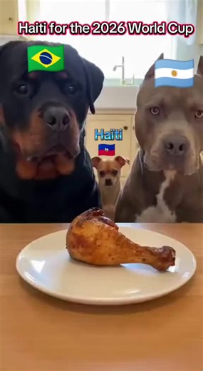 Vidéos de Question TV (@questiontv3) avec original sound - Question TV