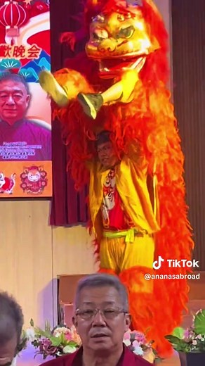 Experience a Stunning Northern Lion Dance Performance