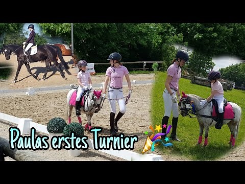 FMA Tournament 🎉🍀