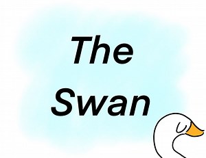 The Swan
