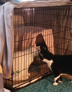 362K views · 3K reactions | This is an example of what we mean by “a...