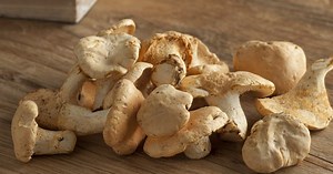 Pied de mouton : nos idées recettes