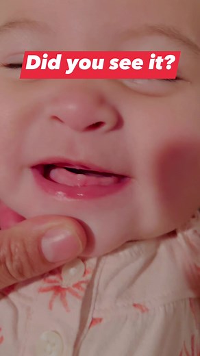 1.6K views · 52 reactions | First tooth #babytooth #firsttooth #babymilestones #milestone #socute #firsttime | The Murphys | Facebook