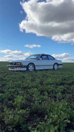 Capturing the Beauty of Oregon in the 80s with a Classic BMW