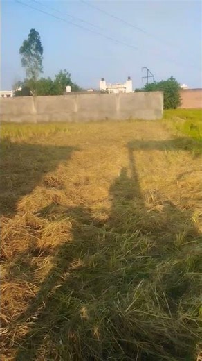 mahindra with paddy material cutter#farming#agriculture