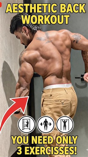 Best Back Exercises for Aesthetic Physique #shorts #backworkout #bodybuilding #fitness