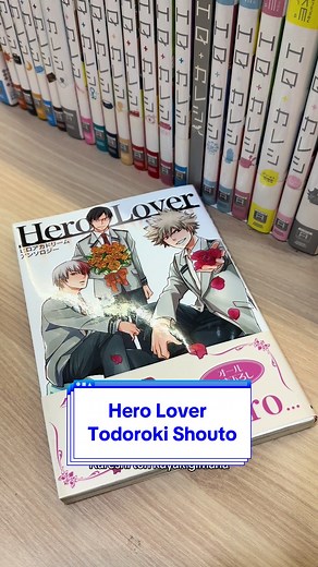 Doujin Reader Insert Story: Todoroki Shouto | Hero Lover