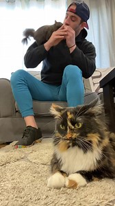 1.7M views · 186K reactions | Just a hooman and his little buddy ❤️! #fyp #fypp #fpy #viral #video #cute #fun #funny #happy #smile #insta #instagram #instago #instagood #instadaily #tiktok #pet #pets #animal #animals #follow #us #party #best #friend | A Squirrel Named Peanut | Facebook