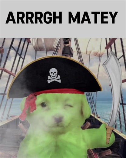 Shiver me timbers 👽🏴‍☠️💚 #Gogthealiendog #Pirate #dogsoftiktok #cute #fyp
