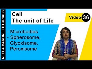 Cell - The Unit of Life | NEET | Microbodies - Spherosome, Glyoxisome, Peroxisome