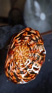 A preview of the intricate work you’ll see | Glass Blowing 247