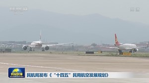 [视频]民航局发布《“十四五”民用航空发展规划》