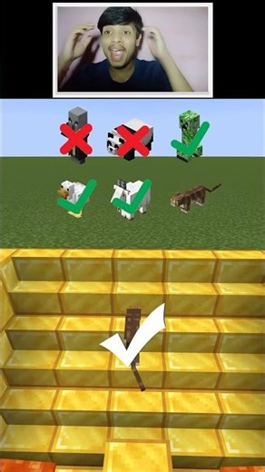 Cross the bridge challenge in minecraft🥵 || Minecraft Shorts 👀 #shorts #reelschallenge #minecraft