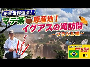 【圧巻の大瀑布】絶景の世界遺産イグアスの滝を堪能！～ブラジル側編～ | 世界お茶旅 南米編