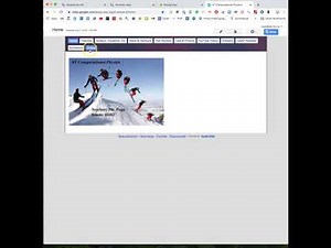 Embedding Code into Website