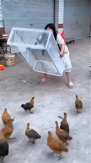 Interesting Facts in Hindi . . . #foryoupageシforyou #hindifacts #factdad #facts #amazingfacts #interestingfacts #fact #unknownfacts | Fact DAD