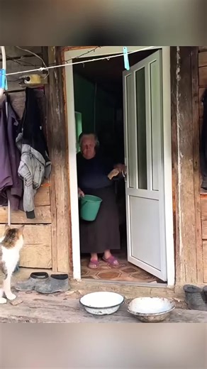 Discover the Charm of Country Cooking Vlogs