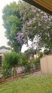 1K views · 13 reactions | Raindrops & Love.❤️ #rainysunday | Jean's mini Vlog | Facebook