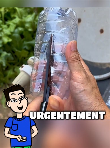 Top Tips and Tricks for TikTok Success