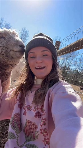 Thank you @♠️🃏KayJo🃏♠️ for 1.Being the reason I learned about this list and 2.Setting me up to get my own Florida cracker 🥰 sorry I keep calling them firecrackers can’t help it lol #endangeredspecies #floridacrackers #minifarm