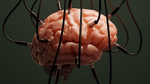 Scientists Now Want to Create AI Using Real Human Brain Cells