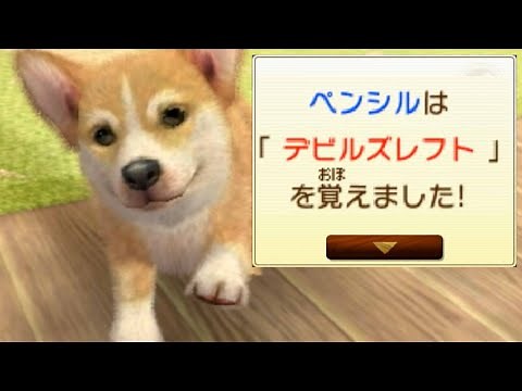 すごい強そうな技覚えた｜ニンテンドッグス + cats