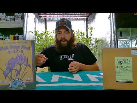 What is Bone meal and Blood meal?