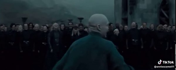Harry Potter Edit: Voldemort's Scene Analysis